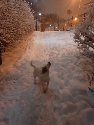 IMG_20250408_214141_721