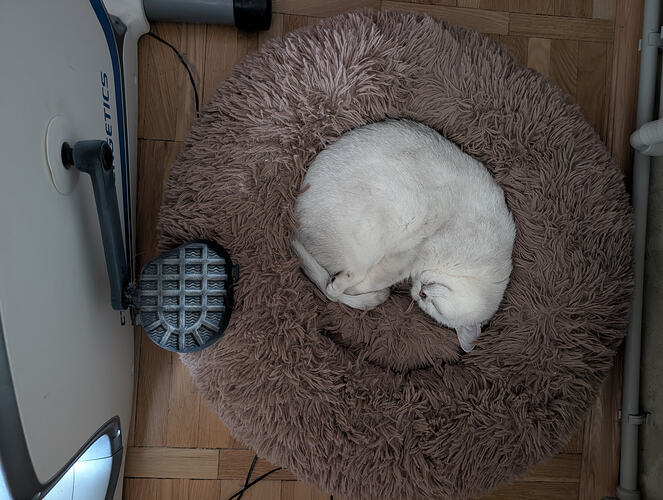 PXL_20260202_133806133