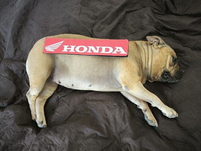 IMG_20251025_125751_005