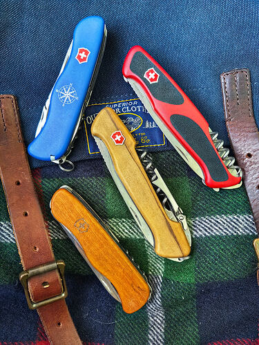 IMG_20260212_162633-01