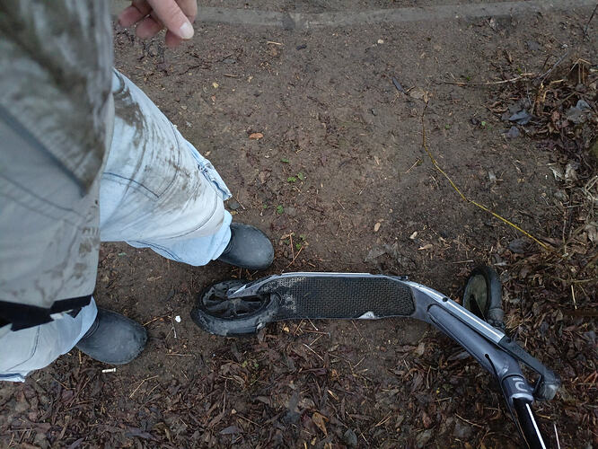 IMG_20251211_152946_262