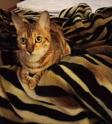 IMG20251101184209_copy_845x933