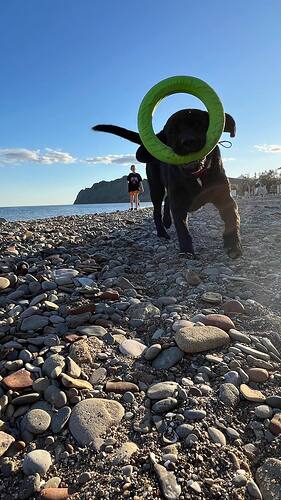 IMG_20250827_164021_431