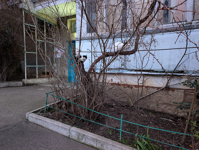 PXL_20260129_050044739