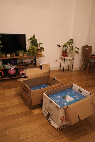 photo_2024-11-29_22-52-53