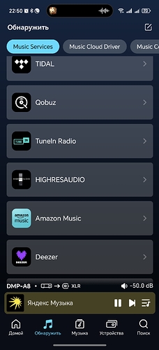 Screenshot_20250525_225018_com_eversolo_control_HomeActivityV2