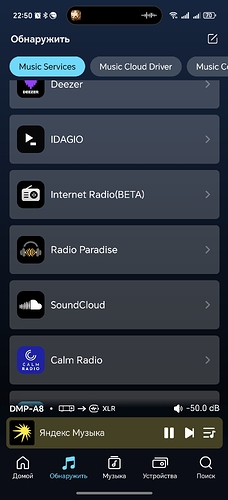 Screenshot_20250525_225028_com_eversolo_control_HomeActivityV2