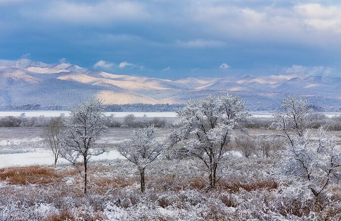серебряное утро