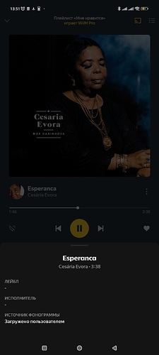 Screenshot_2026-02-13-13-51-28-699_ru.yandex.music