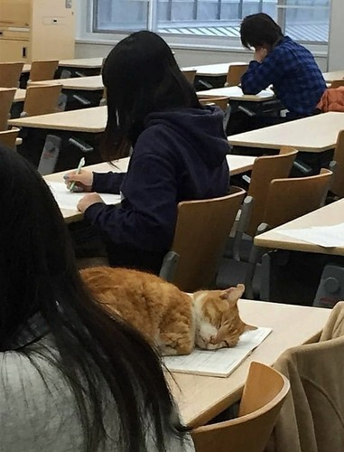 Screenshot_20230206_131315