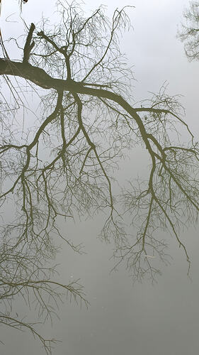 _2025-12-02 15-21-54