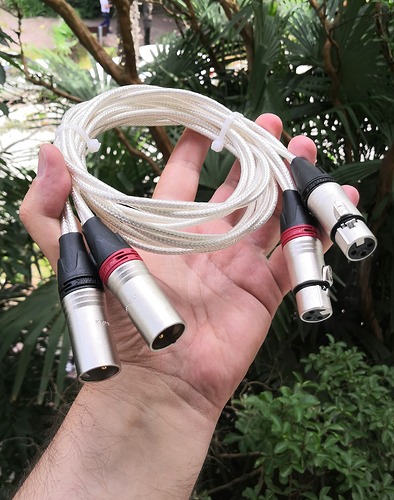 IMG_20230614_133706_edit_325274564340470