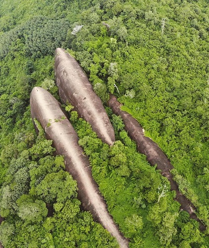 273138226_2020210684815175_4553591774302688589_n