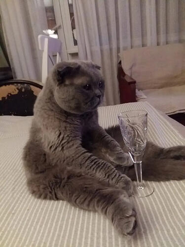 IMG_20260101_081217_378