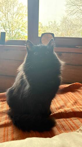 IMG_20251230_200129_459