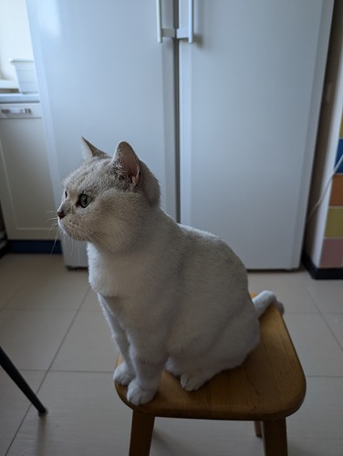 PXL_20240704_041005798