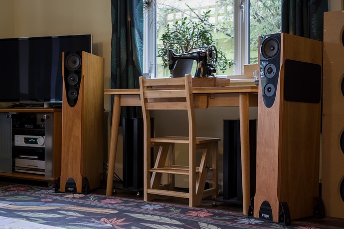 53481469747_f9b16f7c61_o