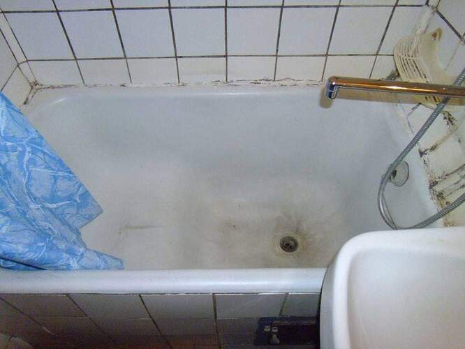 10827989_823607651030084_6387009926804017398_o