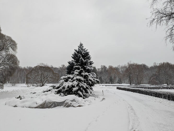 PXL_20251226_063728782