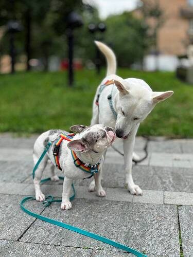photo_2025-08-11_16-59-48