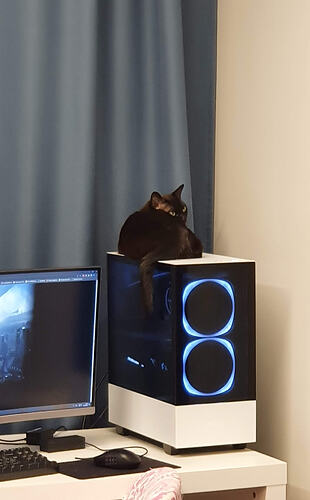 20221022_163353 Copy