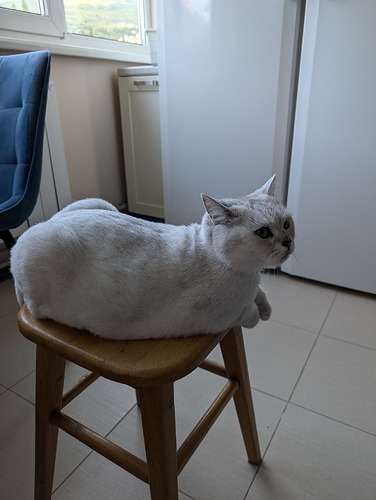 PXL_20240704_041313426