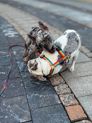 photo_2025-08-11_16-58-01