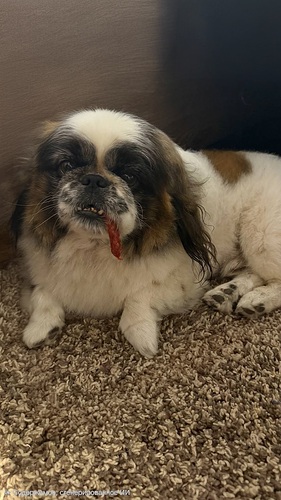 IMG_20250830_234041_768(1)(1)(1)(1)