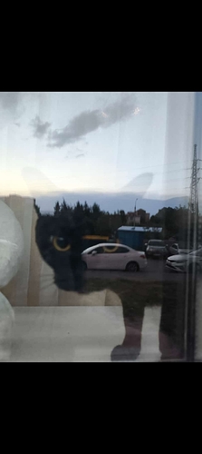 В московских окнах свет ....