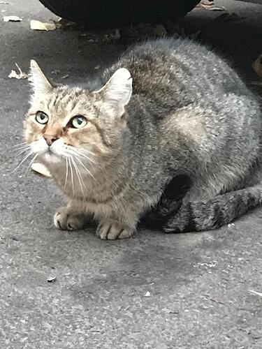 WhatsApp Image 2023-02-01 at 22.02.53 (1)