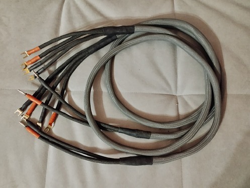 IMG_20231210_175327498