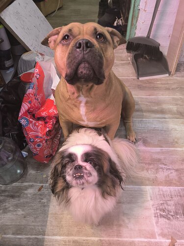 IMG_20250217_205834_371