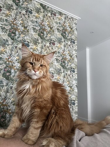 IMG_20260108_210809_659