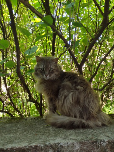 IMG_20240627_122930834