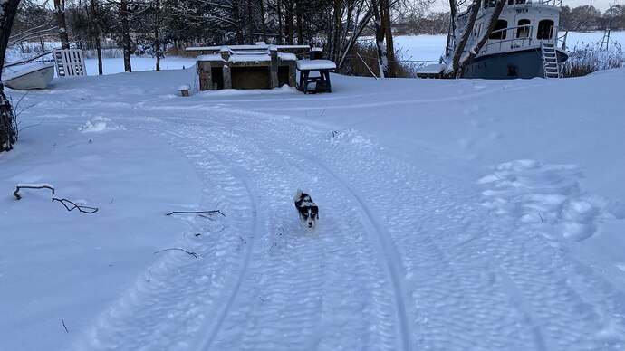 photo_2026-01-01_15-26-58 (2)