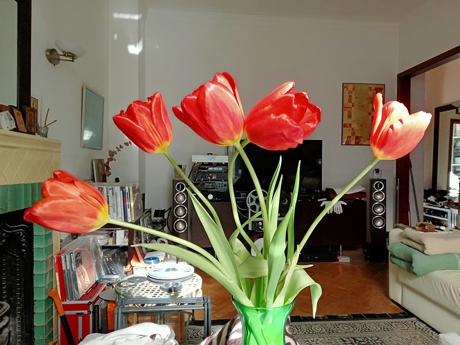 IMG20250308105656