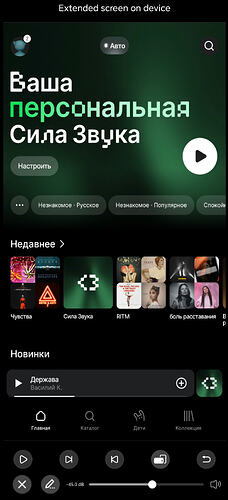 Screenshot_20250910_090307_com_eversolo_control_RemoteScreenVActivity