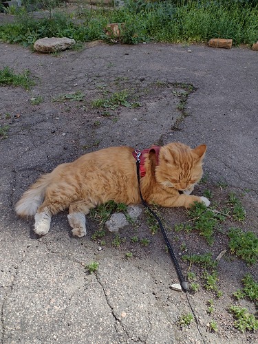 IMG_20240627_125837763_HDR