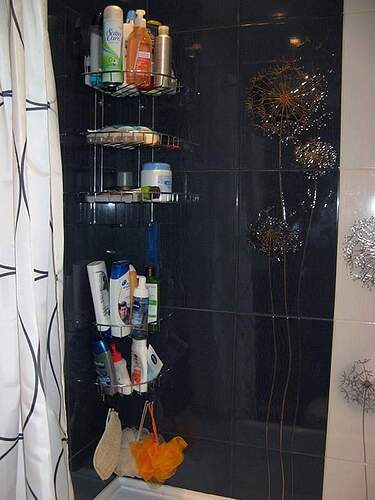 10805742_823608721029977_4781159755612761094_n