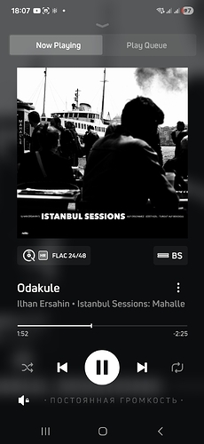 04 Screenshot_20260125_180724_BluOS