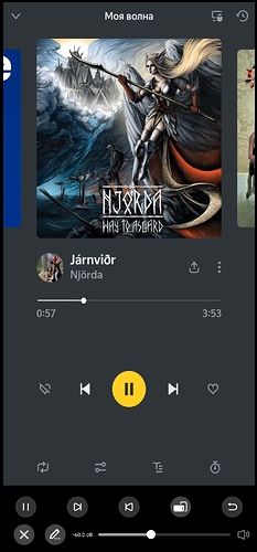 Screenshot_2025-11-06-10-55-40-158_com.eversolo.control-edit