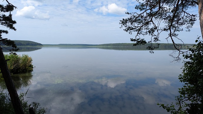 PXL_20250630_051904204