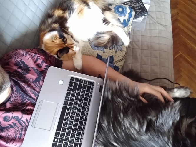 IMG_20210305_131521108