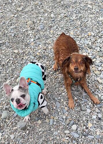 photo_2025-12-26_18-31-26