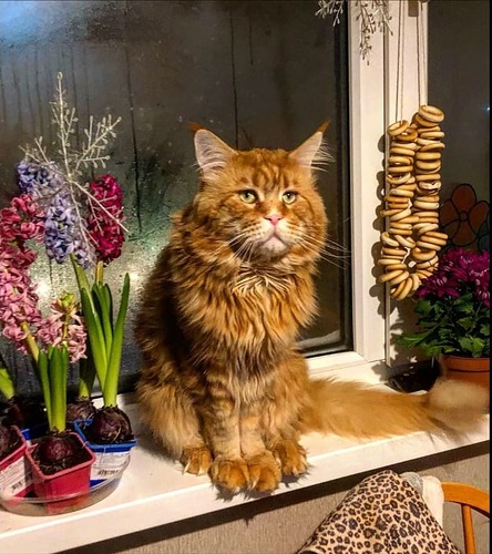 upload_2023_02_10_17_51_28_865