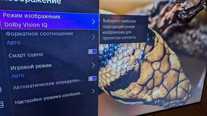 PXL_20250201_210040521.MP