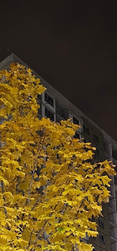Screenshot_20241027_222341_Gallery