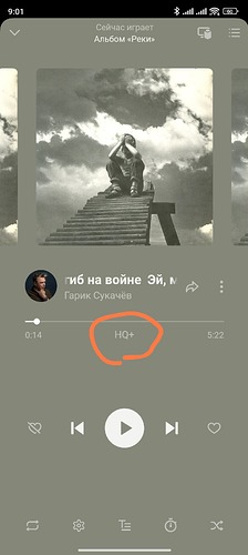 Screenshot_2024-08-23-09-01-14-665_ru.yandex.siren-edit