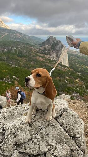 IMG_20251105_182240_908