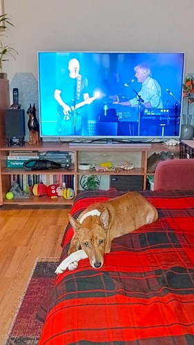 WhatsApp Image 2025-10-24 at 19.20.48